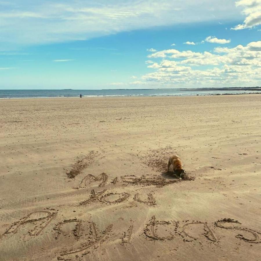 Isamena Las Playas